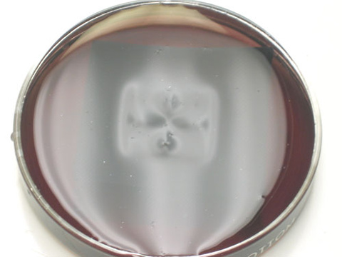 Petri Dish, Black Construction Paper, Neodymium Magnet Array Close up