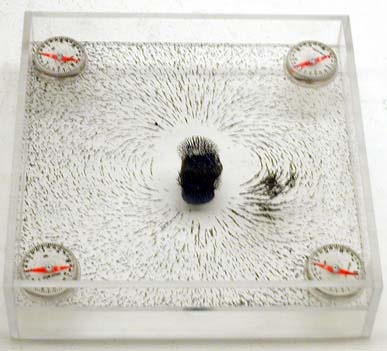 Magnet and Iron Filings