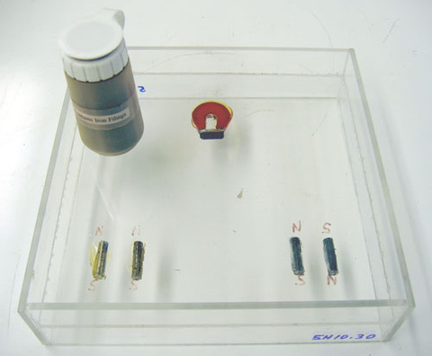 Magnet and Iron Filings