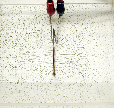 Magnetic Field Lines - Single Loop