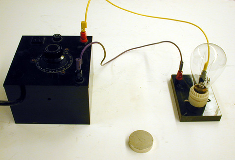 40 Watt Light Bulb with Long Filament, Magnet