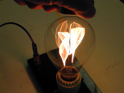 40 Watt Light Bulb with Long Filament, Magnet