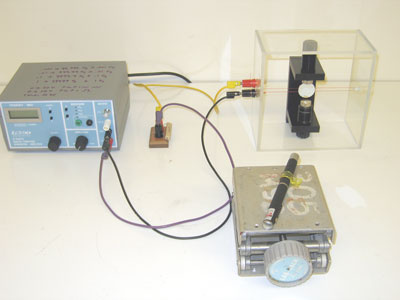 Set up for Jumping Wire With a Twist