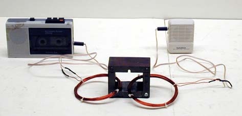 Set up for Transformer Demo