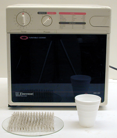 Microwave Oven, Neon Light Array, Styrofoam Cup with Water