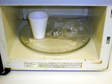 Microwave Oven, Light Bulb, Styrofoam Cup with Water