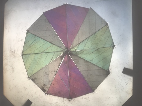 Haidinger's Brush Plate