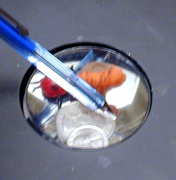 Image of Objects with Pen Through Them