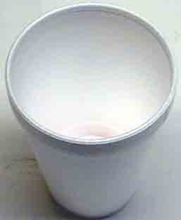 Penny in Cup Without Water