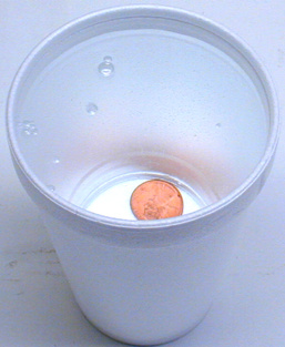 Penny in Cup With Water