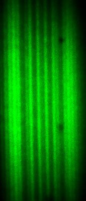 Fresnel Biprism Image