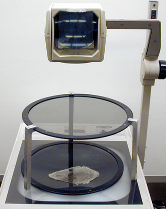 Mica Polarization Demo