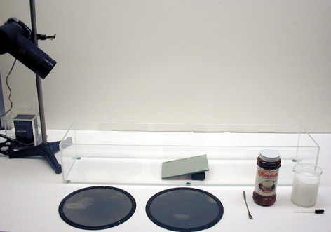 Polarization by Scattering Setup - Tank & Mirror