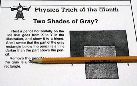 Shades of Gray Illusion