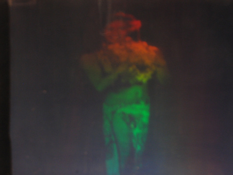 Hula Girl Hologram