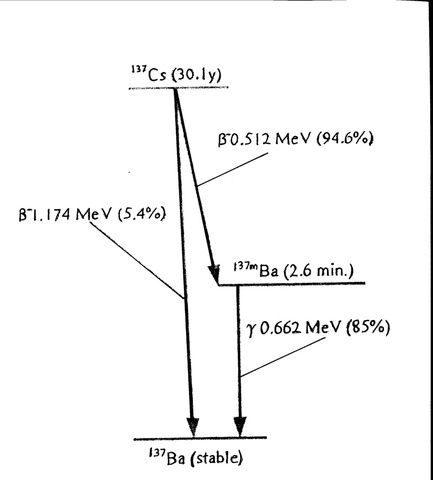 Half Life - Isotope Generator Diagram