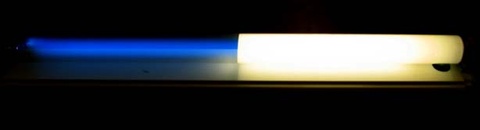 Fluorescent Tube