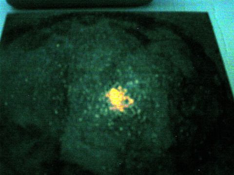 Radioactive VS. Irradiated Salt Demo