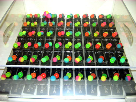 Equipment for Mousetrap Chain Reaction Demo