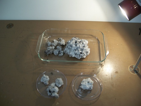 Equipment for Comet Demo