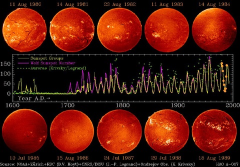 Sunspot Cycle