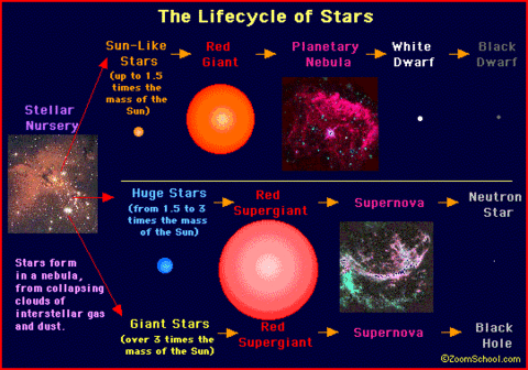 Stellar Lifecycle Poster
