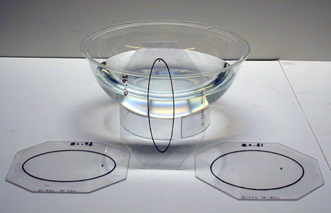 Large Clear Glass Bowl, Water, Ellipse Transparencies.