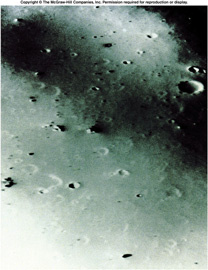 Demios - Close-up view