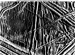 Europa - Grooves and Ridges