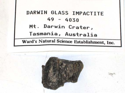 Darwin Glass Impactite