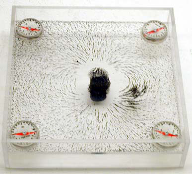 Overhead Magnets, Iron Filings, Iron Filings in Pop Bottles with Inserted Test Tube, Neodymium Magnets, and Dip Needles.