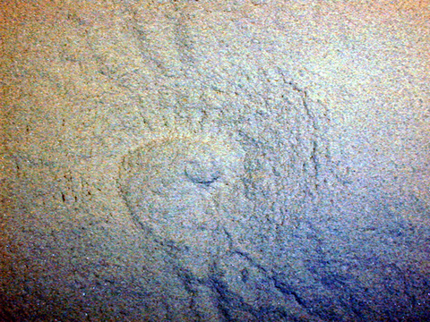 Crater Formation Demo