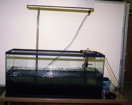 The Creating of Life in the Classroom Demo