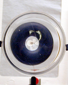 Gravitational Lens Simulations Photo