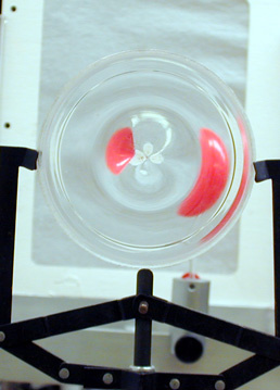 Gravitational Lens Simulations Photo