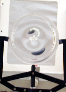 Gravitational Lens Simulations Photo