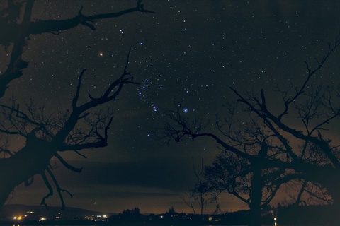 Orion, The Hunter's Stars