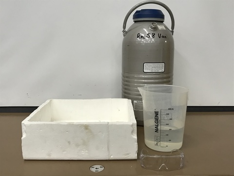 Liquid Nitrogen Cloud